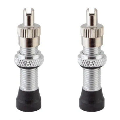 Alienation VALVE Tubeless Ventile