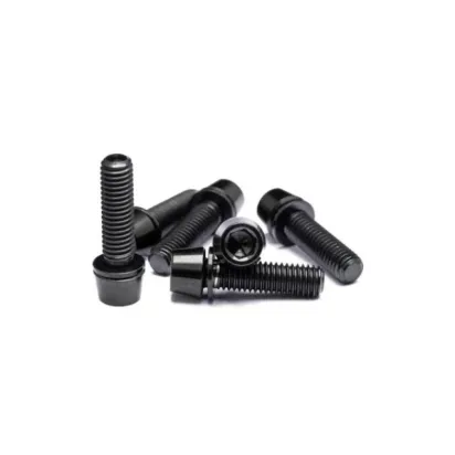 Praxis Bolt Kit Stem Stainless Steel M6x16mm