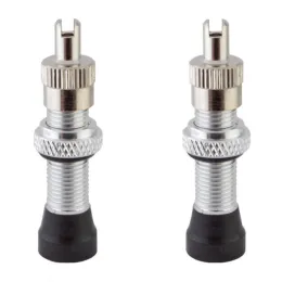 Alienation VALVE Tubeless Ventile silver 32mm