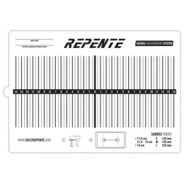 Repente Ischias-Messkarton