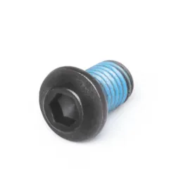 Salt STANDARD Kurbelarm-Kettenradschraube black